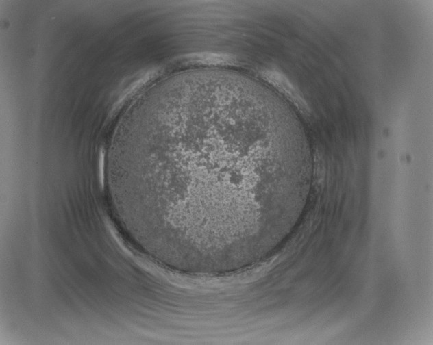 X0000083580014200702231707