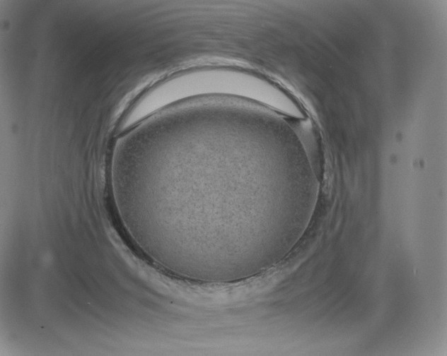 X0000083580015200702231707