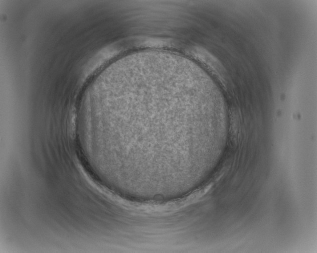 X0000083580016200702231707