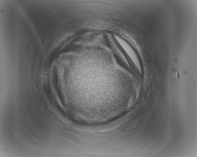 X0000083580017200702231707