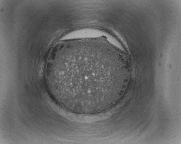 X0000083580018200702231707