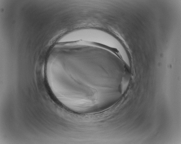 X0000083580019200702231707