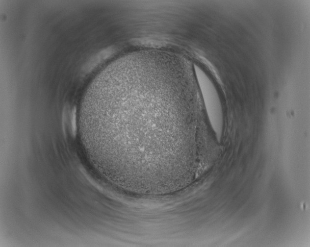 X0000083580020200702231707