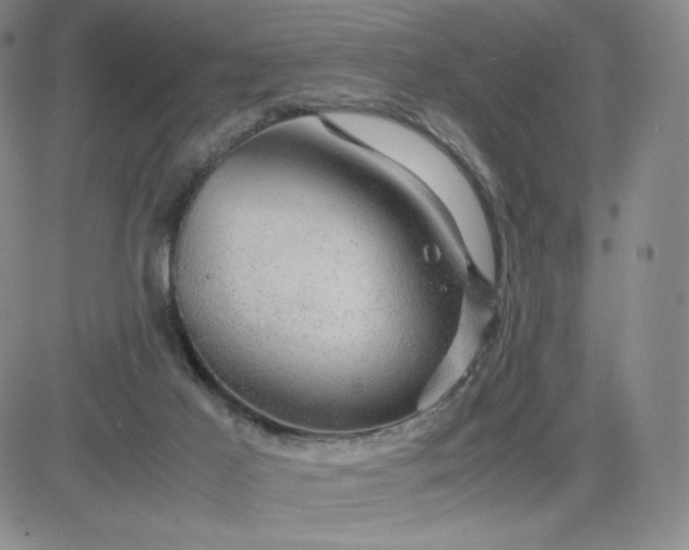 X0000083580021200702231707