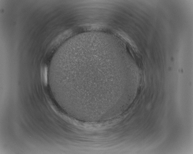 X0000083580022200702231707