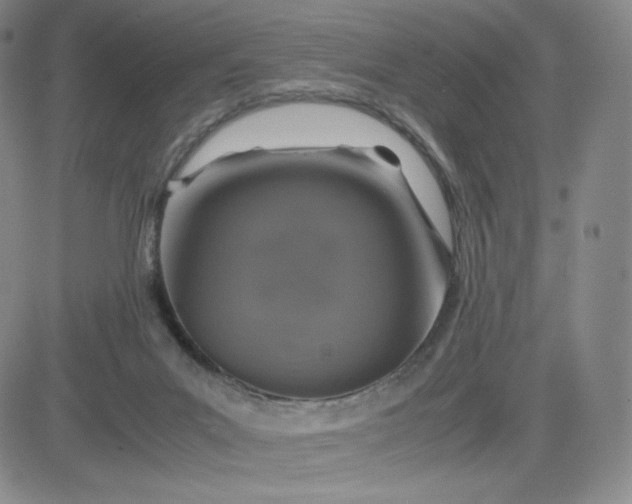 X0000083580023200702231707