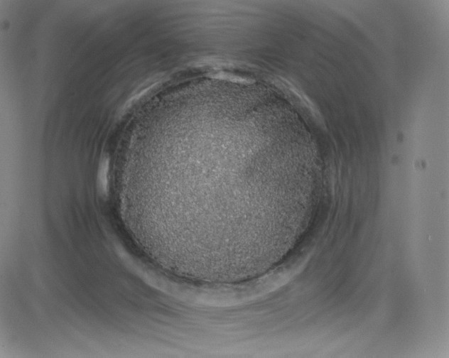 X0000083580024200702231707