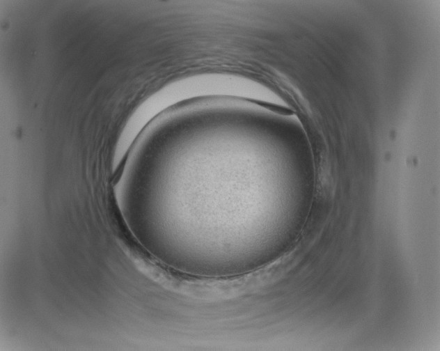 X0000083580025200702231707