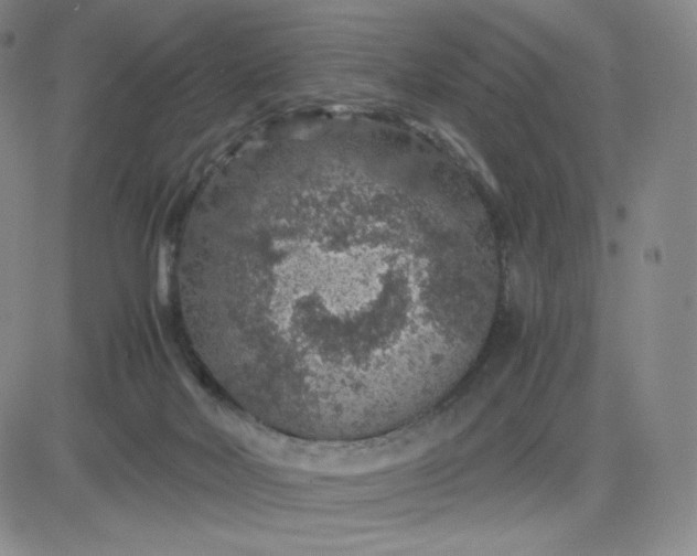 X0000083580026200702231707