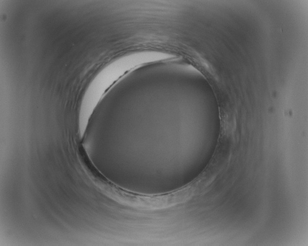 X0000083580027200702231706