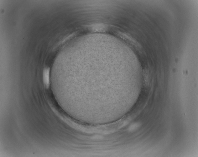 X0000083580028200702231706