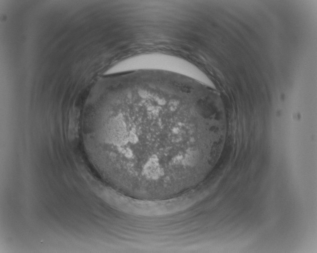 X0000083580030200702231706