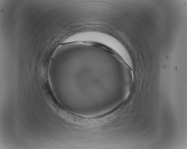 X0000083580031200702231706