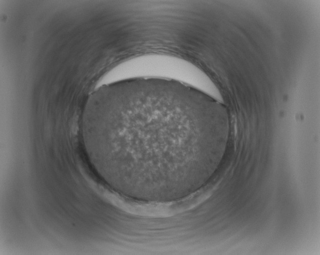 X0000083580032200702231706