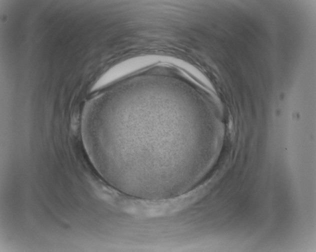 X0000083580033200702231706