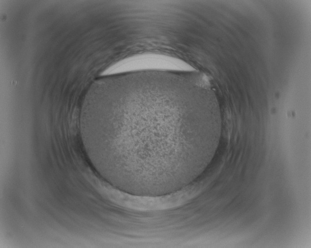 X0000083580034200702231706