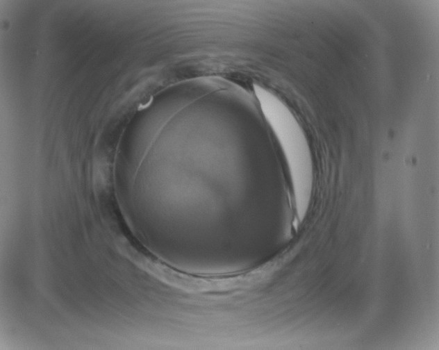 X0000083580035200702231706