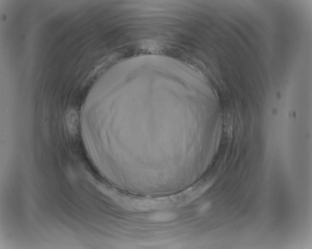 X0000083580036200702231706