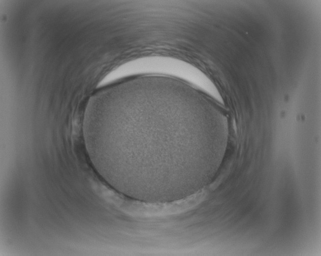 X0000083580037200702231706