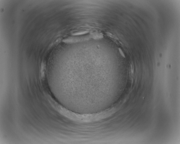 X0000083580038200702231706