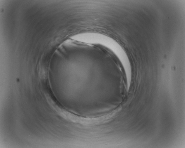 X0000083580039200702231706