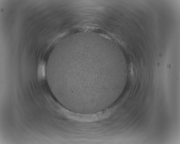 X0000083580042200702231706