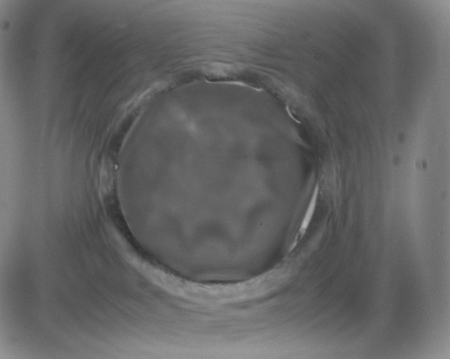 X0000083580043200702231706