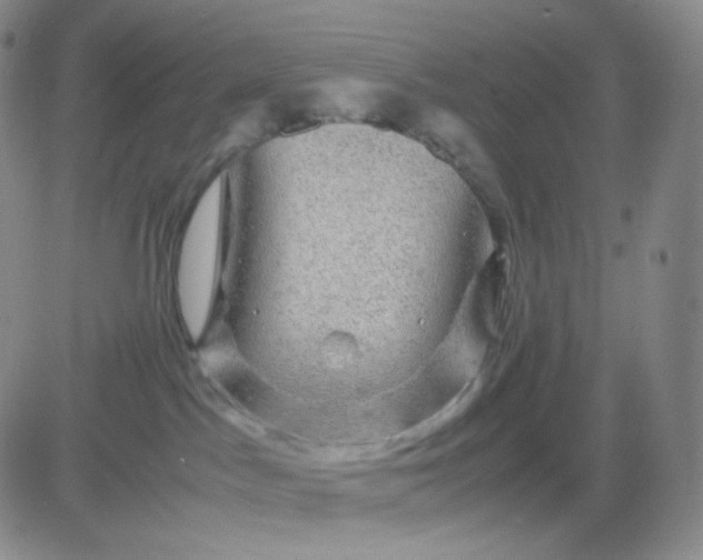 X0000083580045200702231706