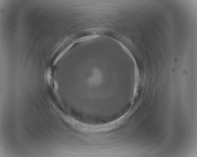 X0000083580047200702231706