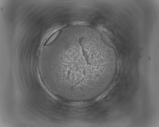 X0000083580049200702231705