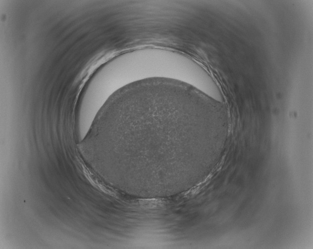 X0000083580050200702231705