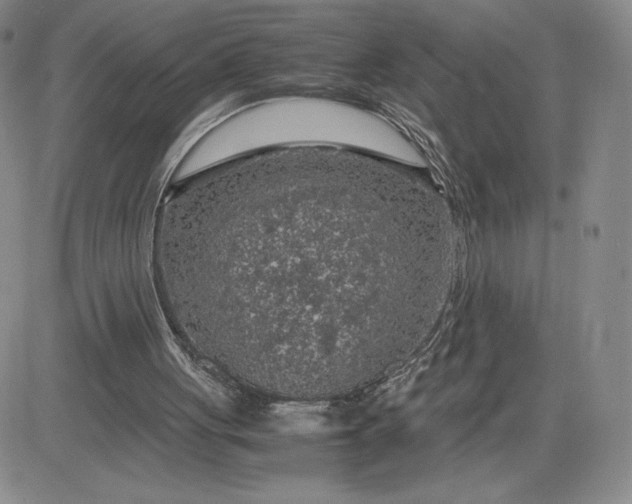 X0000083580051200702231705