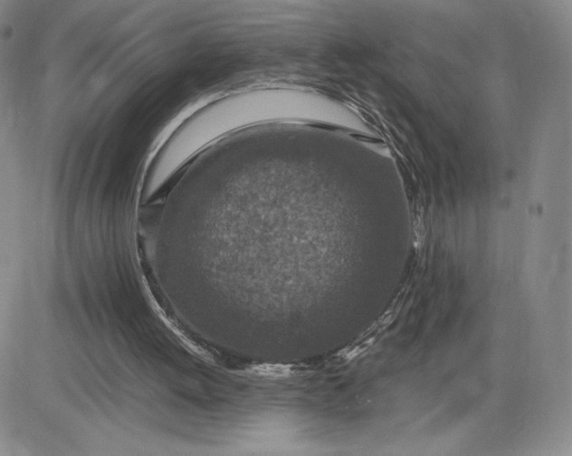 X0000083580052200702231705