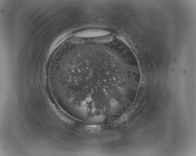 X0000083580053200702231705