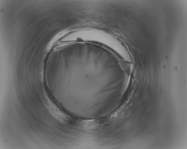 X0000083580054200702231705