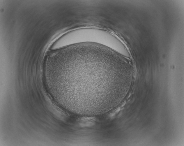 X0000083580055200702231705