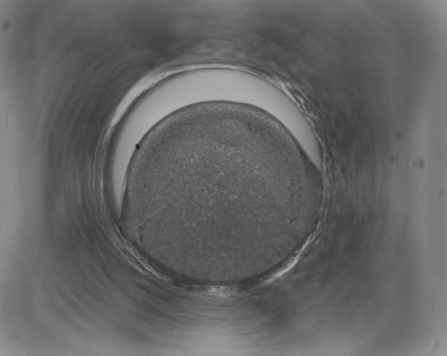 X0000083580056200702231705