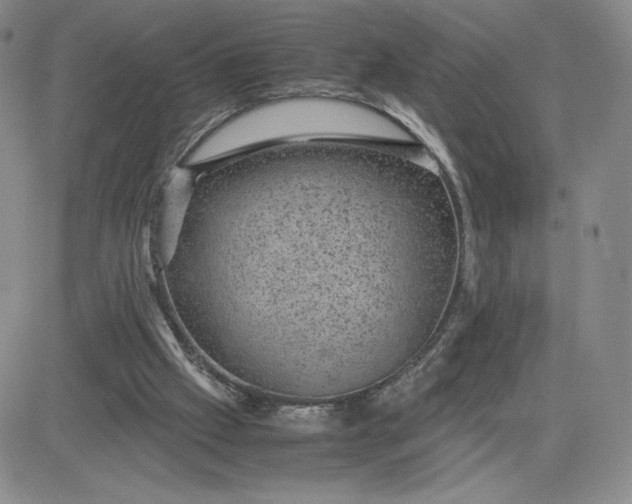 X0000083580057200702231705