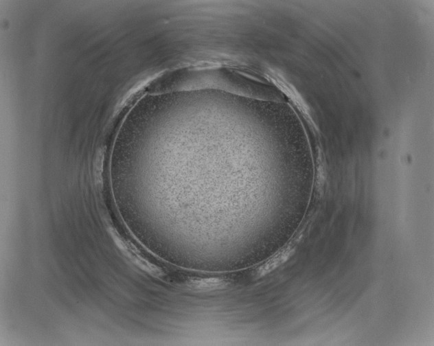 X0000083580058200702231705