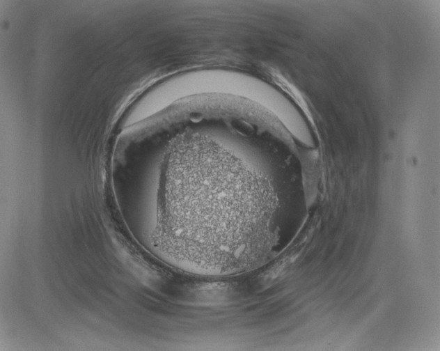 X0000083580059200702231706