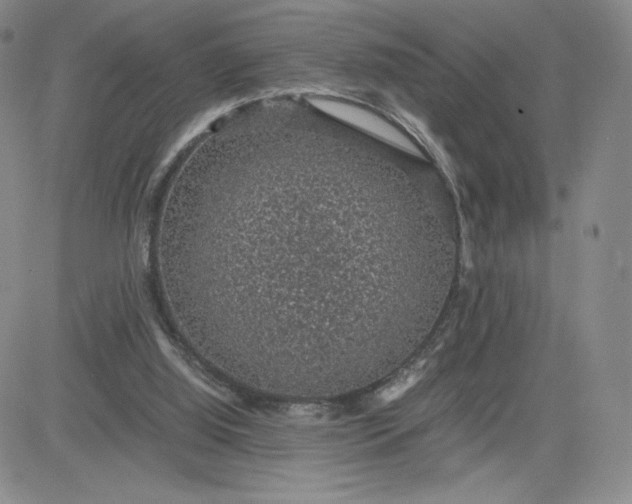 X0000083580060200702231706