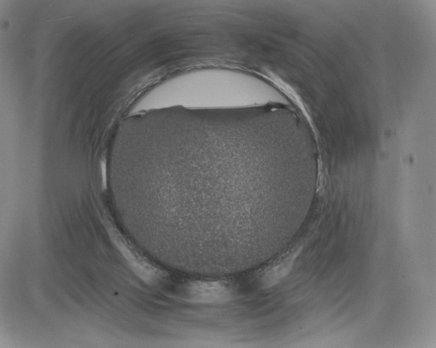 X0000083580061200702231706