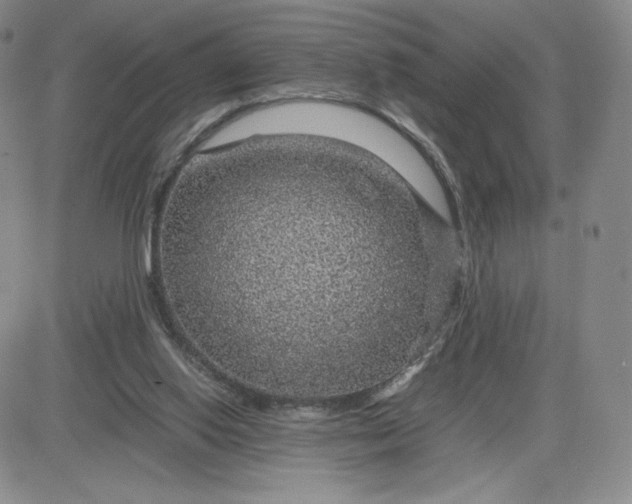 X0000083580062200702231706