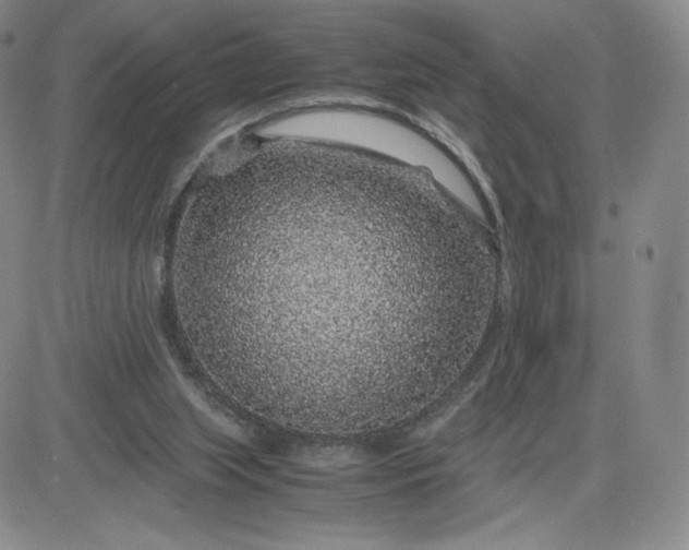 X0000083580063200702231706