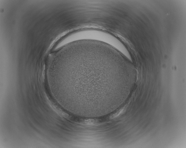 X0000083580064200702231706