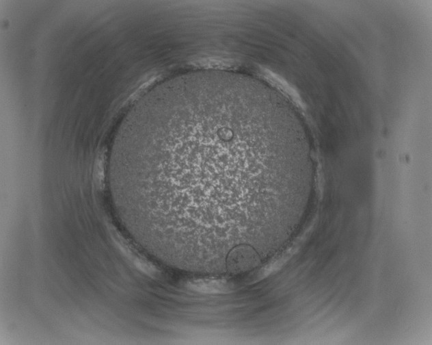 X0000083580065200702231706