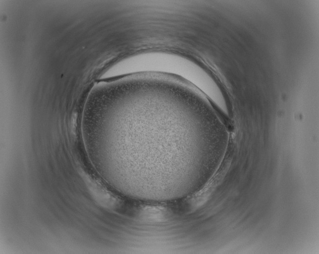 X0000083580066200702231706