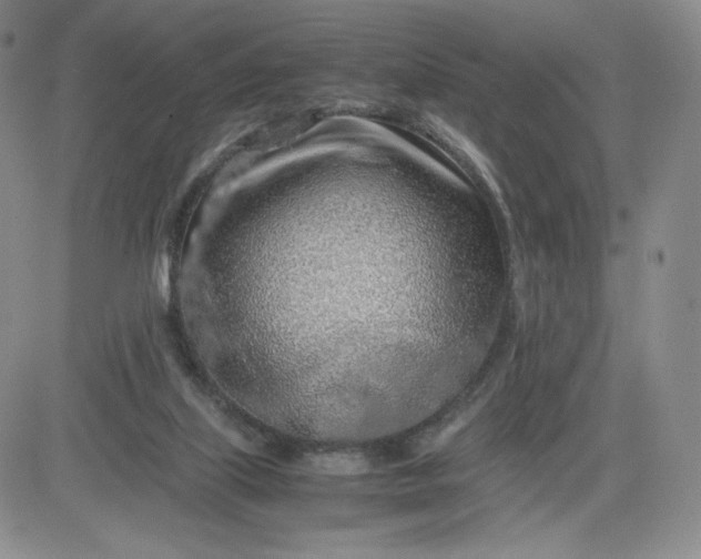 X0000083580067200702231706