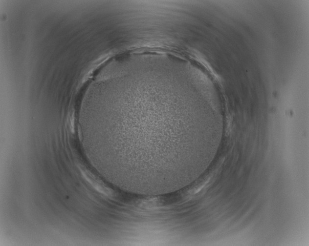 X0000083580068200702231706