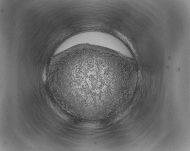 X0000083580069200702231706